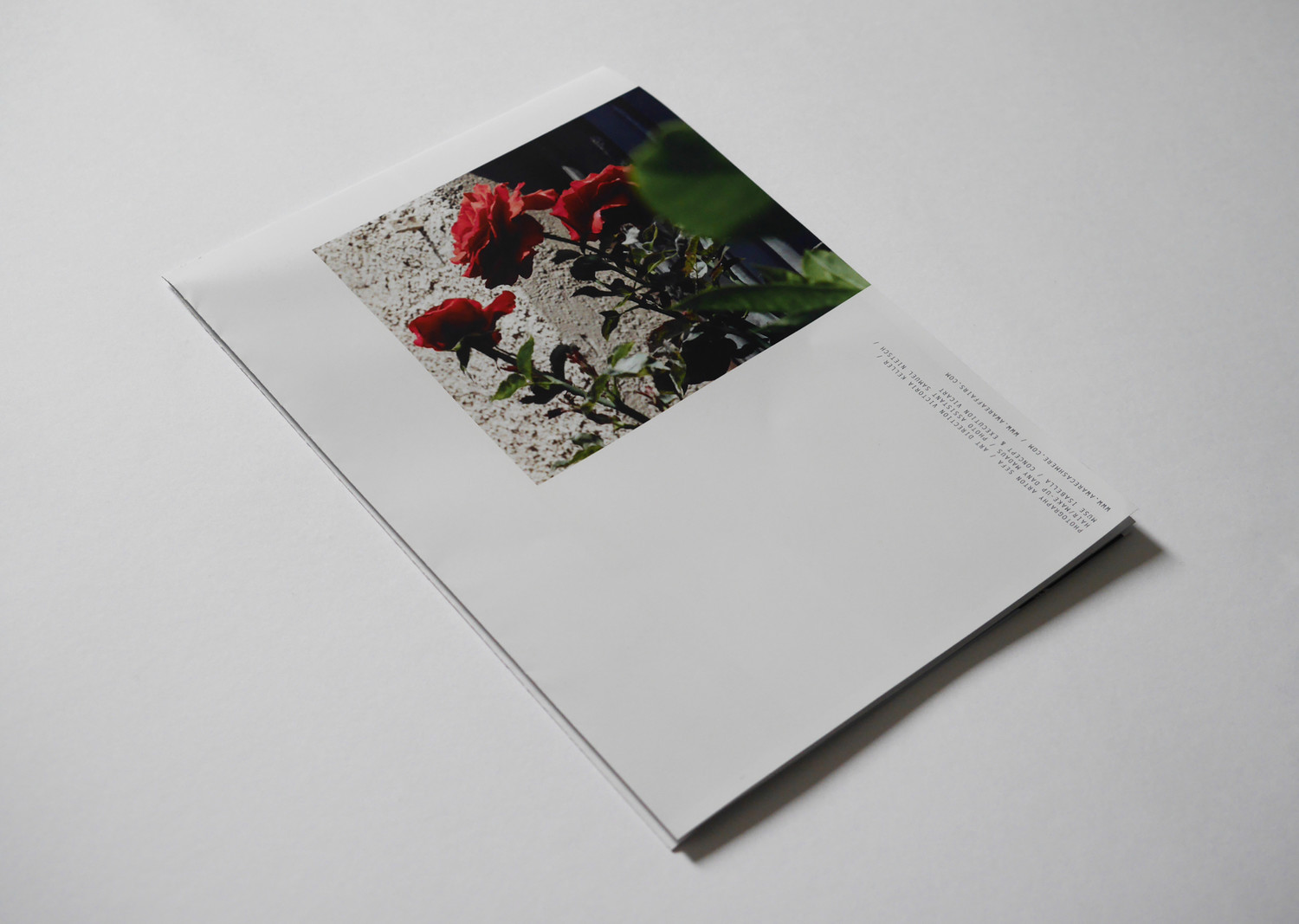 Imagefolder Backcover Cashmere Campaign