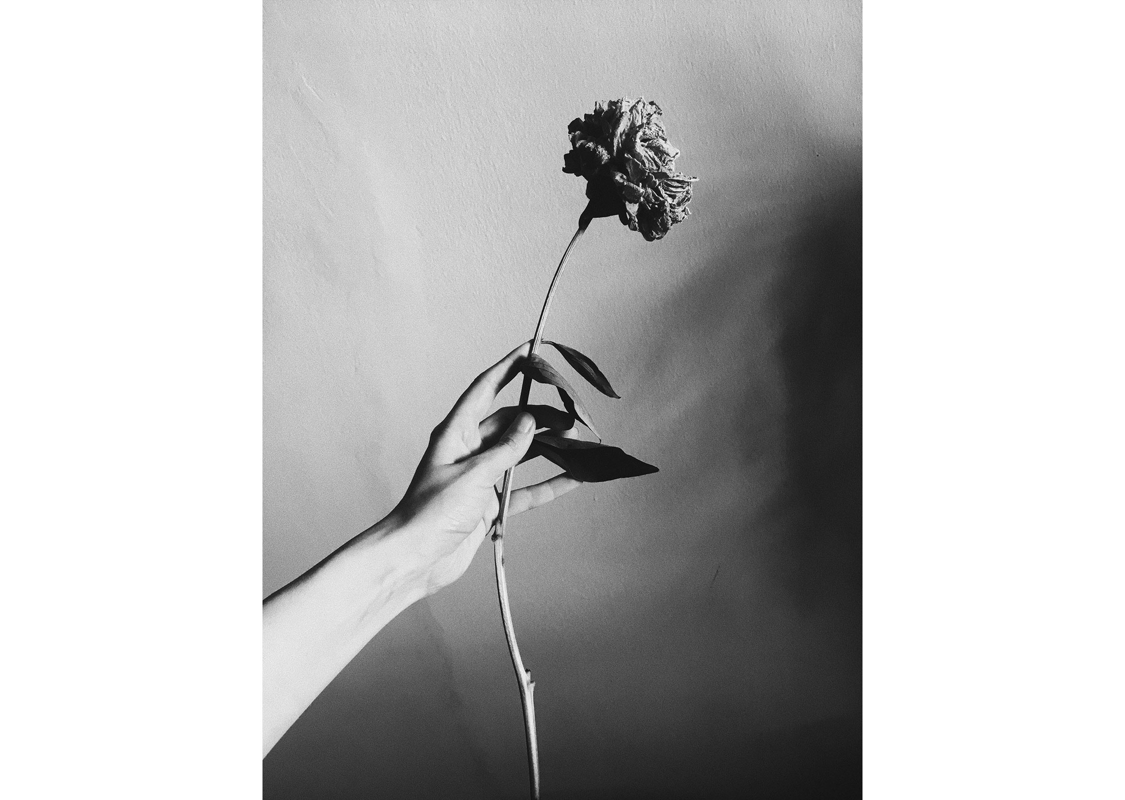 Stilllife Portfolio Art Direction Graphic Design Photography